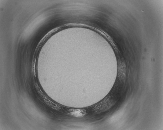 X0000082761199200702240056