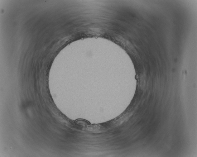 X0000082761201200702240056