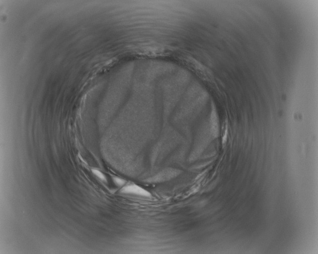 X0000082761202200702240056