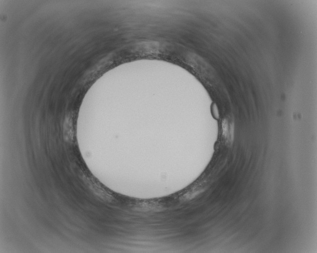 X0000082761203200702240056