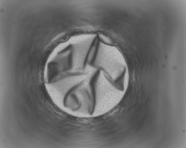 X0000082761205200702240056