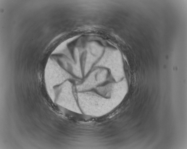 X0000082761206200702240056