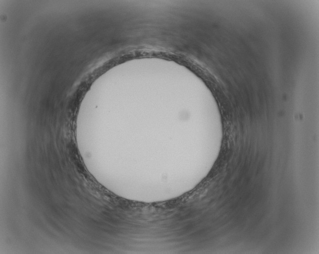 X0000082761207200702240056