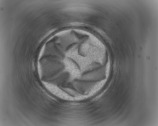 X0000082761209200702240056