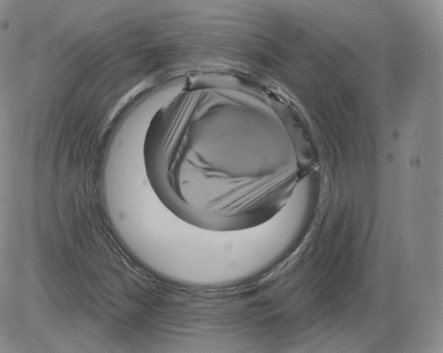 X0000082761210200702240056