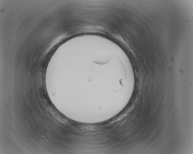 X0000082761211200702240056