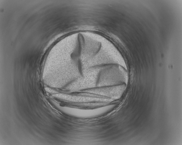 X0000082761212200702240056