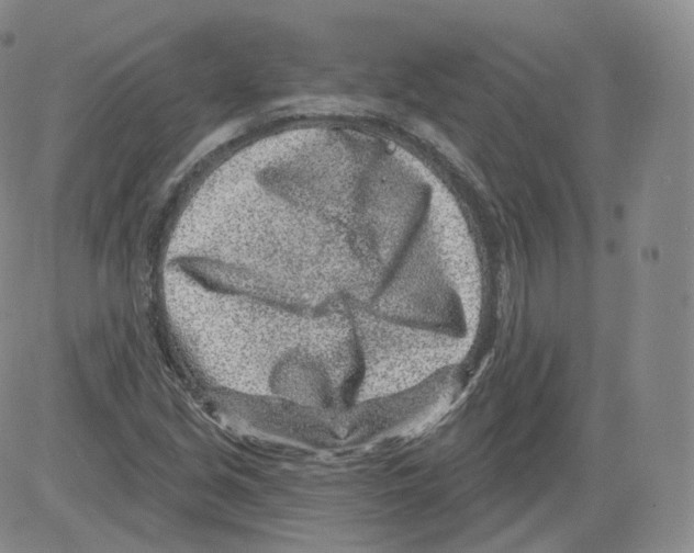 X0000082761213200702240056