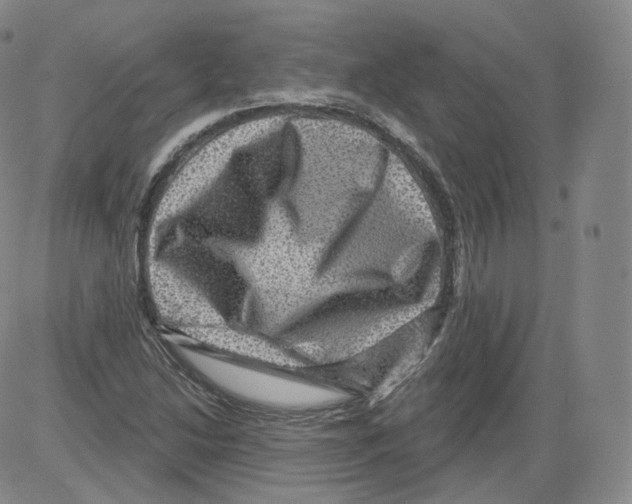 X0000082761214200702240056