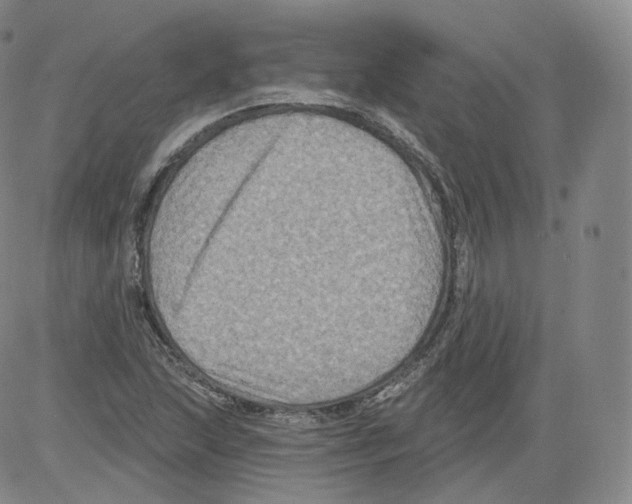 X0000082761215200702240056