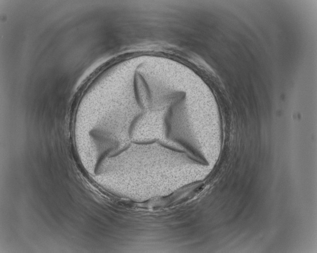 X0000082761216200702240056