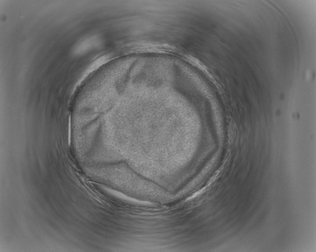 X0000082761219200702240056