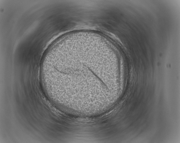 X0000082761220200702240056