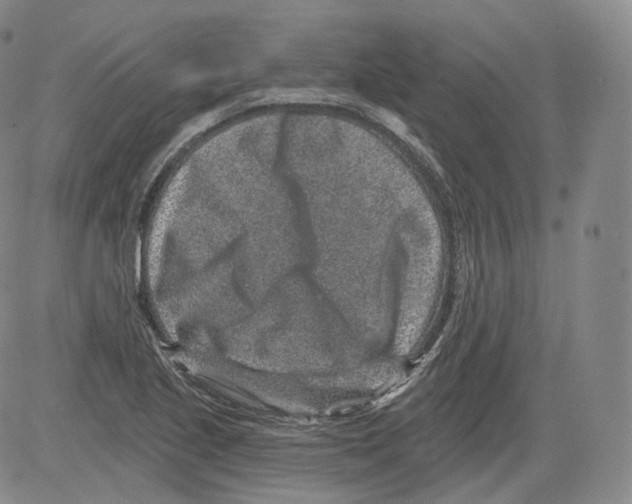 X0000082761221200702240056