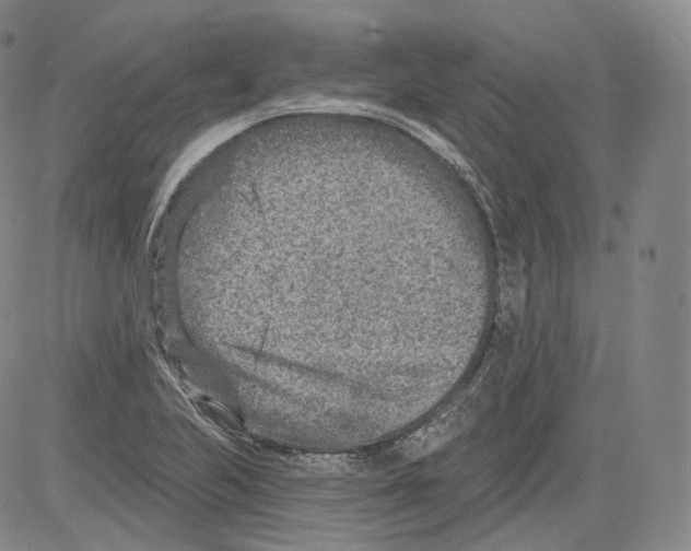 X0000082761223200702240056