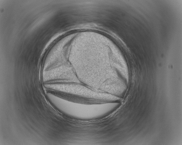 X0000082761224200702240056