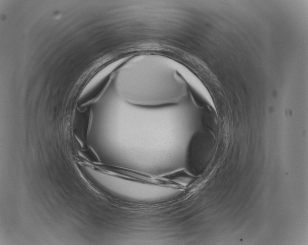 X0000082761225200702240056