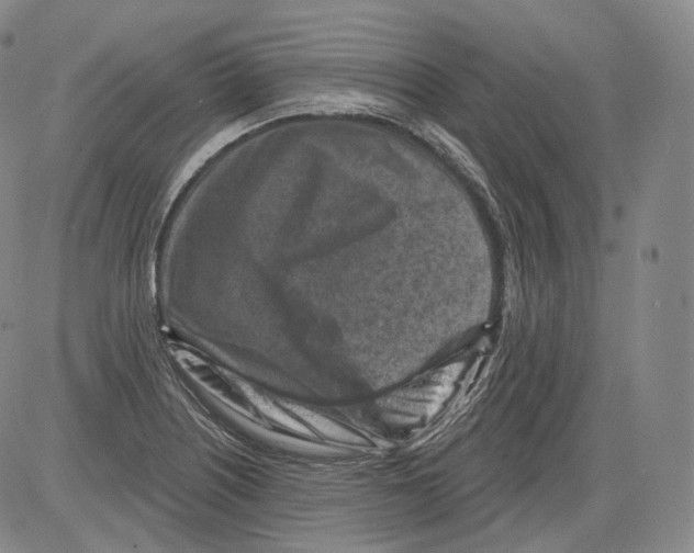 X0000082761226200702240056