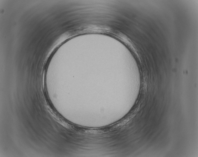 X0000082761227200702240056