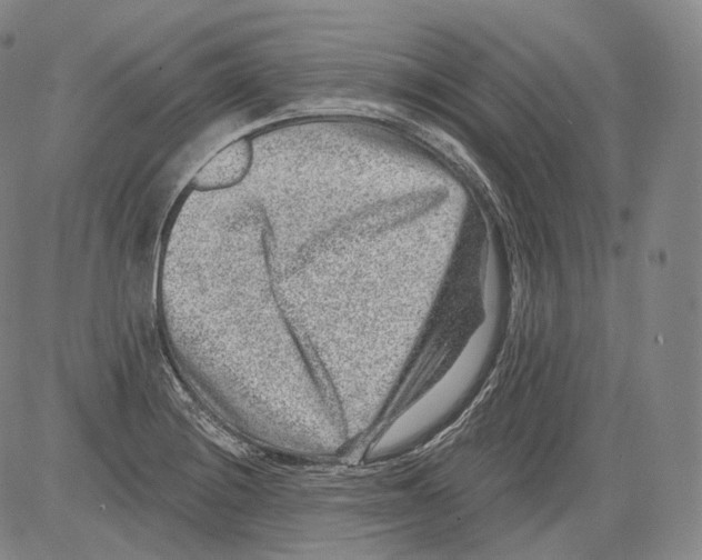 X0000082761228200702240056