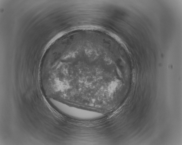 X0000082761229200702240056