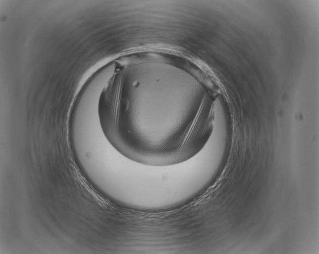 X0000082761230200702240056