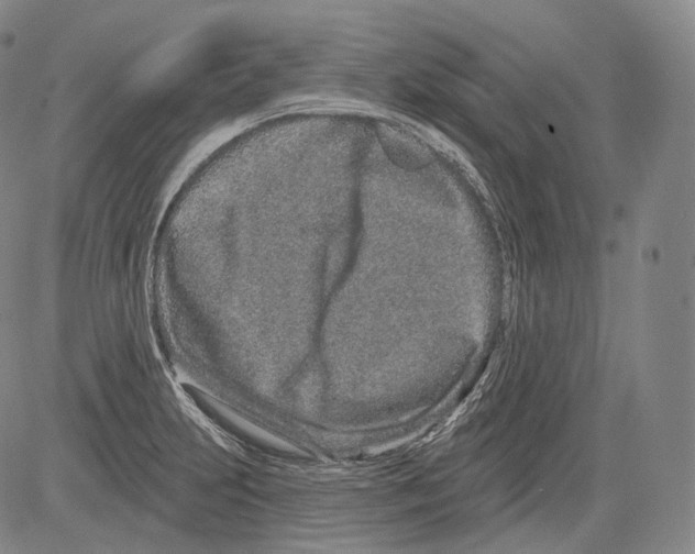 X0000082761231200702240056