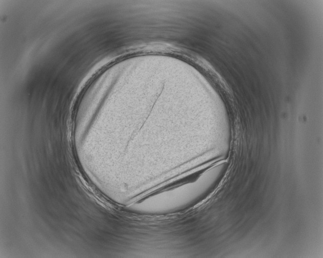 X0000082761232200702240056