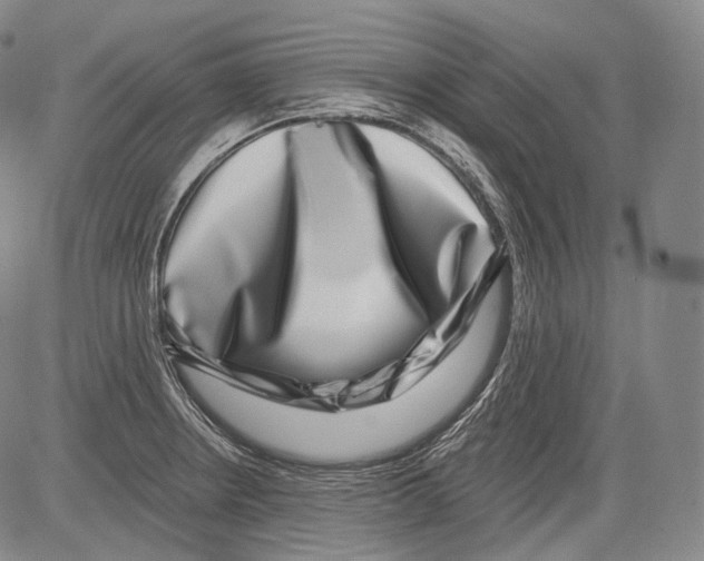 X0000082761234200702240056