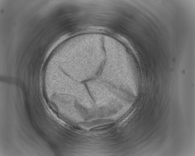 X0000082761235200702240056