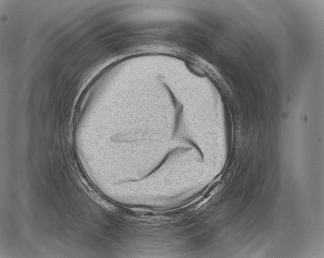 X0000082761236200702240056