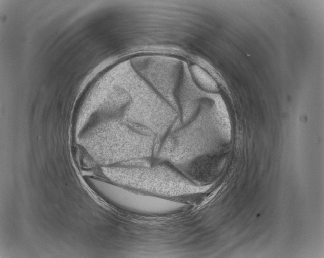 X0000082761237200702240056