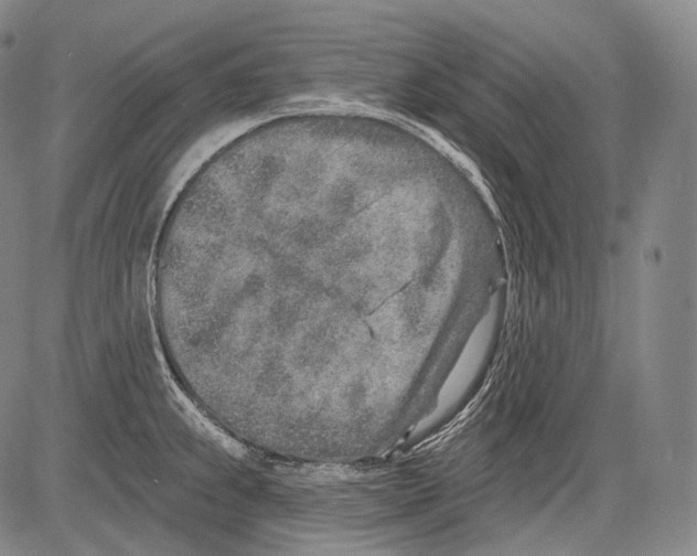 X0000082761239200702240056