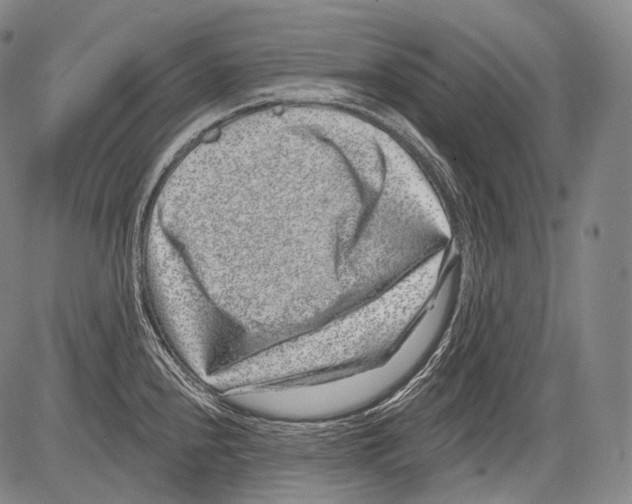 X0000082761240200702240056