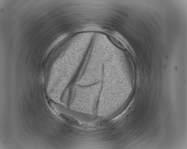 X0000082761241200702240056