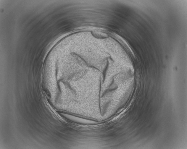 X0000082761244200702240056