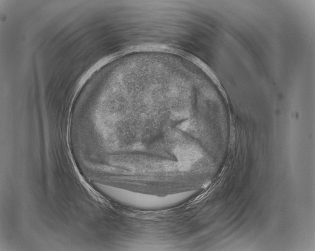 X0000082761245200702240056