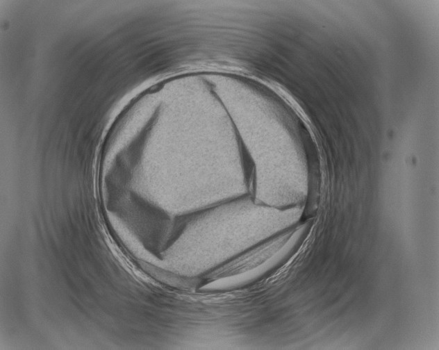 X0000082761246200702240056