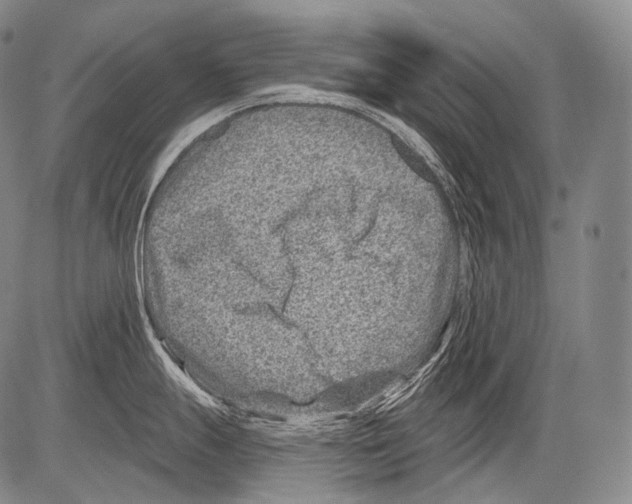 X0000082761247200702240056