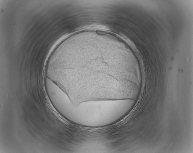 X0000082761248200702240056