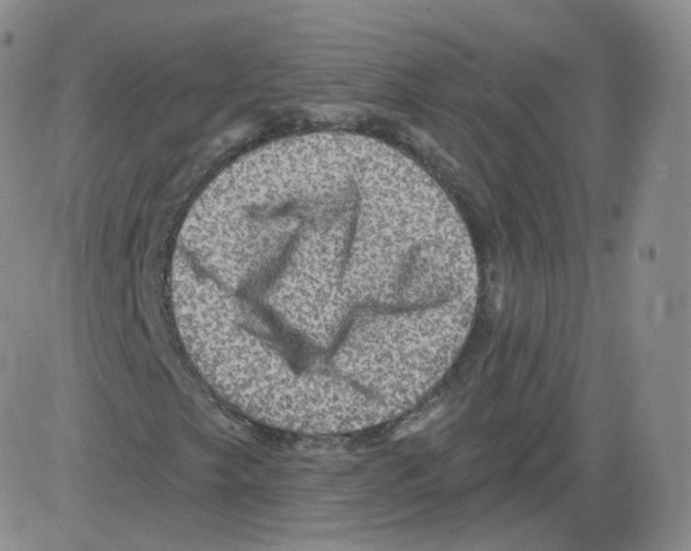 X0000082761249200702240056