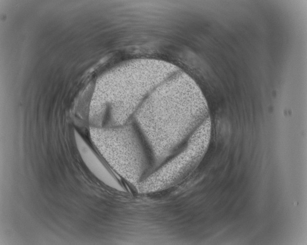 X0000082761250200702240056