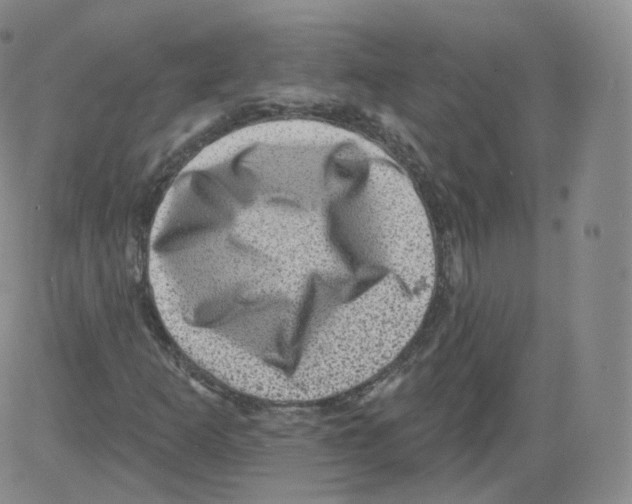 X0000082761253200702240056