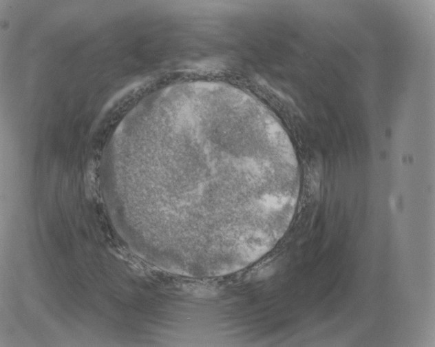 X0000082761254200702240056