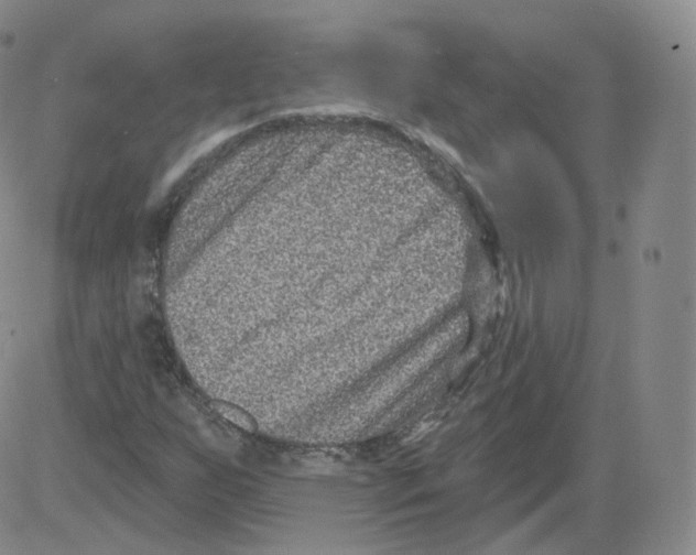 X0000082761255200702240056