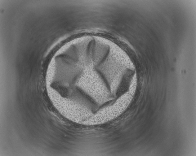 X0000082761256200702240056