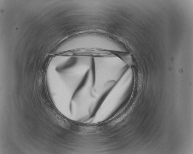 X0000082761257200702240055