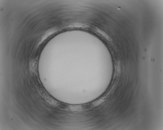 X0000082761258200702240055