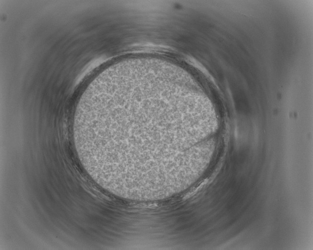 X0000082761259200702240055