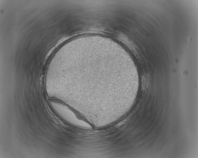 X0000082761260200702240055